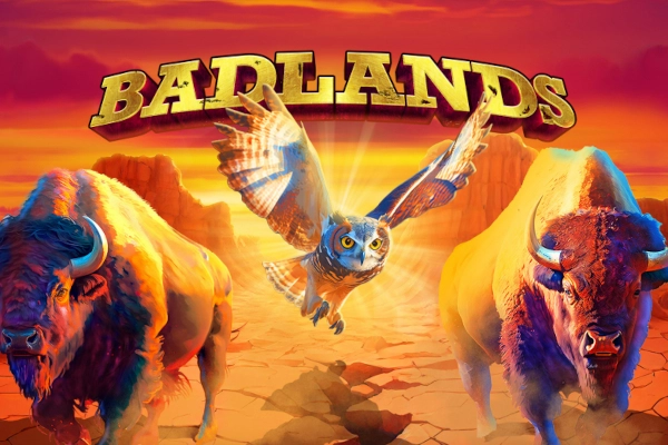 20179 badlands