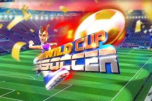 24408 wild cup soccer