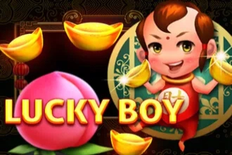 24510 lucky boy